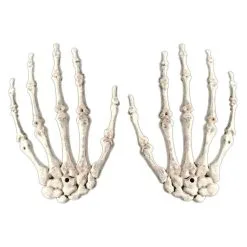 LISM 1 Pair Halloween Decoration Realistic Life Size Skeleton Hands Plastic Fake Human Hand Bone Zombie Party Terror Scary -Cosplayware Store 1 Pair Halloween Decoration Realistic Life Size Skeleton Hands Plastic Fake Human Hand Bone Zombie Party 4.jpg 640x640q80 4.jpg 4
