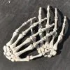 LISM 1 Pair Halloween Decoration Realistic Life Size Skeleton Hands Plastic Fake Human Hand Bone Zombie Party Terror Scary -Cosplayware Store 1 Pair Halloween Decoration Realistic Life Size Skeleton Hands Plastic Fake Human Hand Bone Zombie Party.jpg 640x640q80.jpg