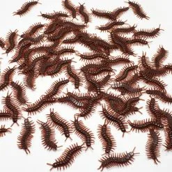 PARTY DIARY 10pcs Simulation Cockroach Lifelike Spider Centipede Scorpion Prank Funny Trick Joke Toys Halloween Scary 12 PARTY DIARY 10pcs Simulation Cockroach Lifelike Spider Centipede Scorpion Prank Funny Trick Joke Toys Halloween Scary -Cosplayware Store 10pcs Simulation Cockroach Lifelike Spider Centipede Scorpion Prank Funny Trick Joke Toys for Halloween Scary Props 4.jpg 640x640q80 4.jpg 4