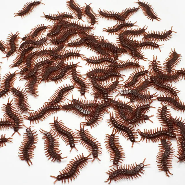 PARTY DIARY 10pcs Simulation Cockroach Lifelike Spider Centipede Scorpion Prank Funny Trick Joke Toys Halloween Scary 7 PARTY DIARY 10pcs Simulation Cockroach Lifelike Spider Centipede Scorpion Prank Funny Trick Joke Toys Halloween Scary - Image 5
