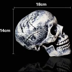 Cosplay&ware Skeleton Christmas Prop 100% Plastic Lifelike Human Bones Skull Figurine Horror Halloween Party Decoration -Cosplayware Store 2019 Skeleton Christmas Prop 100 Plastic Lifelike Human Bones Skull Figurine for Horror Halloween Party Decoration 3.jpg 640x640q80 3.jpg 3