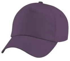 The Dragons Den Work Wear Football Baseball Cap Promotional Team Building Plain Hat -Cosplayware Store 2dbe2b0e 3f87 4fc5 8aaf b0479c9c1240 71011.1569429289