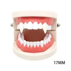 ZGTGLAD 2pcs Cosplay Halloween Dentures Zombie Vampire Teeth Ghost Devil Fangs Werewolf Prop Costume Party Kid Toy -Cosplayware Store 2pcs Cosplay Halloween Dentures Zombie Vampire Teeth Ghost Devil Fangs Werewolf Teeth Prop Costume Party Kid 3.jpg 640x640q80 3.jpg 3