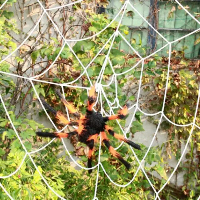 Cosplay&ware 30cm-200cm Super Big Wire Plush Material Spider Realistic Black Horrible Fake Spiders Toy Home Party Halloween Decoration 6 Cosplay&ware 30cm-200cm Super Big Wire Plush Material Spider Realistic Black Horrible Fake Spiders Toy Home Party Halloween Decoration - Image 4