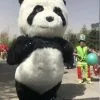 Cosplay&ware Advertising Inflatable Chinese Panda Bear Cosplay Mascot Costume Doll Can Walk In Halloween Dress -Cosplayware Store Advertising Inflatable Chinese Panda Bear Cosplay Mascot Costume Doll Can Walk In Costume Costume for Halloween.jpg 640x640q80.jpg