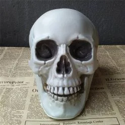 Cosplay&ware All Size Human Skull Head Skeleton Halloween Style Prop Home Party Movie Bar Coffee Haunted Decors