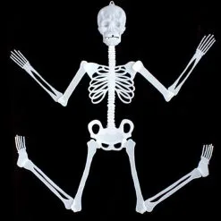 Asypets 90cm150cm Halloween Party Decoration Skeleton Bar Ktv Horror Scene Props-30 -Cosplayware Store AsyPets 90cm 150cm Halloween Party Decoration Skeleton Bar KTV Horror Scene Skeleton Props 30 3.jpg 640x640q80 3.jpg 3