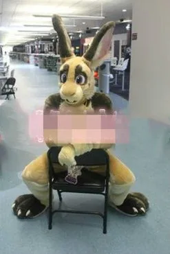 Cosplay&ware Dog Mascot Costume Fursuits Cosplay Party Game Fancy Dress Outfits Advertising Promotion Carnival Halloween Xmas Easter Adult