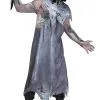 Icebound Phantom Ghost Face Adult Costume