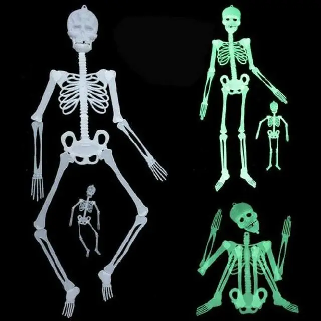 Joy-enlife Fake Skeleton Halloween Trick Plastic Lifelike Skull Bones Arm Figurine Party Decoration Haunted Home 8 Joy-enlife Fake Skeleton Halloween Trick Plastic Lifelike Skull Bones Arm Figurine Party Decoration Haunted Home - Image 6