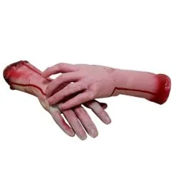 Cosplay&ware Lifesize Human Arm Hand Bloody Dead Body Parts Haunted Halloween Prop 91tz -Cosplayware Store HOT Lifesize Human Arm Hand Bloody Dead Body Parts Haunted House Halloween Prop 91TZ 2.jpg 640x640q80 2.jpg 2