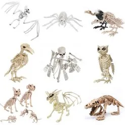 Cosplay&ware Halloween Decoration Bone Animals Skeleton Ornaments Batspiderdragonbird Bones Hallowmas Horror Party -Cosplayware Store Halloween Decoration Bone Props Animals Skeleton Ornaments Bat Spider Dragon Bird Bones Hallowmas Horror House Party 1.jpg 640x640q80 1.jpg 1