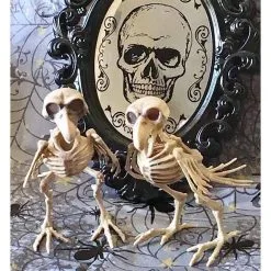 Cosplay&ware Halloween Decoration Bone Animals Skeleton Ornaments Batspiderdragonbird Bones Hallowmas Horror Party -Cosplayware Store Halloween Decoration Bone Props Animals Skeleton Ornaments Bat Spider Dragon Bird Bones Hallowmas Horror House Party 2.jpg 640x640q80 2.jpg 2