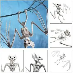 Cosplay&ware Halloween Decoration Bone Animals Skeleton Ornaments Batspiderdragonbird Bones Hallowmas Horror Party -Cosplayware Store Halloween Decoration Bone Props Animals Skeleton Ornaments Bat Spider Dragon Bird Bones Hallowmas Horror House Party 3.jpg 640x640q80 3.jpg 3
