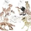 Cosplay&ware Halloween Decoration Bone Animals Skeleton Ornaments Batspiderdragonbird Bones Hallowmas Horror Party -Cosplayware Store Halloween Decoration Bone Props Animals Skeleton Ornaments Bat Spider Dragon Bird Bones Hallowmas Horror House Party.jpg 640x640q80.jpg