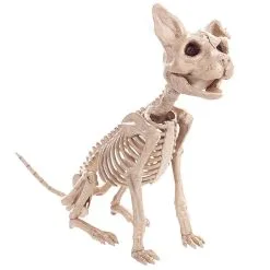 Cosplay&ware Halloween Decoration Animals Skeleton Mouse Dog Cat Skull Bone Ornaments Hallowmas Horror Haunted Party 10 Cosplay&ware Halloween Decoration Animals Skeleton Mouse Dog Cat Skull Bone Ornaments Hallowmas Horror Haunted Party -Cosplayware Store Halloween Decoration Props Animals Skeleton Mouse Dog Cat Skull Bone Ornaments Hallowmas Horror Haunted House Party 2.jpg 640x640q80 2.jpg 2