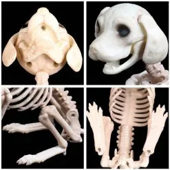 Cosplay&ware Halloween Decoration Animals Skeleton Mouse Dog Cat Skull Bone Ornaments Hallowmas Horror Haunted Party 12 Cosplay&ware Halloween Decoration Animals Skeleton Mouse Dog Cat Skull Bone Ornaments Hallowmas Horror Haunted Party -Cosplayware Store Halloween Decoration Props Animals Skeleton Mouse Dog Cat Skull Bone Ornaments Hallowmas Horror Haunted House Party 4.jpg 640x640q80 4.jpg 4