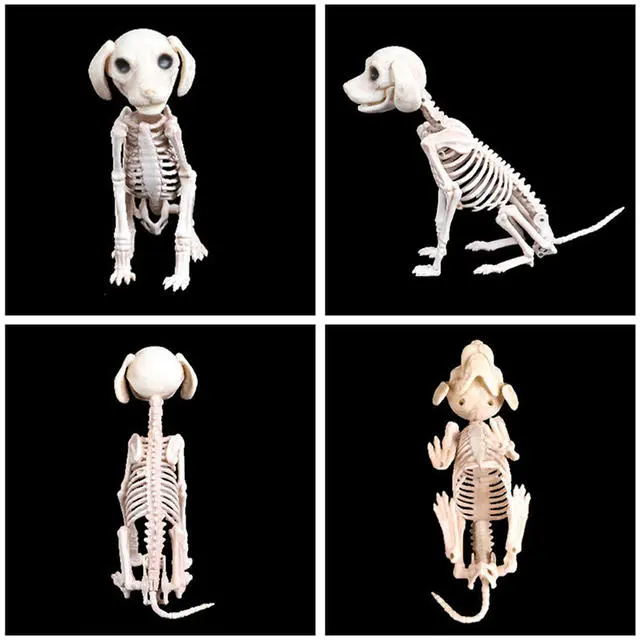 Cosplay&ware Halloween Decoration Animals Skeleton Mouse Dog Cat Skull Bone Ornaments Hallowmas Horror Haunted Party 8 Cosplay&ware Halloween Decoration Animals Skeleton Mouse Dog Cat Skull Bone Ornaments Hallowmas Horror Haunted Party - Image 6