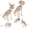 Cosplay&ware Halloween Decoration Animals Skeleton Mouse Dog Cat Skull Bone Ornaments Hallowmas Horror Haunted Party 1 Cosplay&ware Halloween Decoration Animals Skeleton Mouse Dog Cat Skull Bone Ornaments Hallowmas Horror Haunted Party -Cosplayware Store Halloween Decoration Props Animals Skeleton Mouse Dog Cat Skull Bone Ornaments Hallowmas Horror Haunted House Party.jpg 640x640q80.jpg