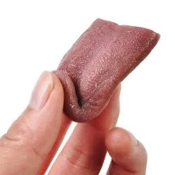 Cosplay&ware Halloween Harmless Realistic Fake Tongue Magic Trick Joke Prank Horrible Stretchable Prop -Cosplayware Store Halloween Harmless Realistic Fake Tongue Magic Trick Joke Prank Horrible Stretchable Prop 4.jpg 640x640q80 4.jpg 4