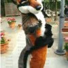 Cosplay&ware Halloween Long Fur Wolf Dog Fursuit Furry Mascot Costume Cosplay Fancy Dress Unisex Outdoor Outfit -Cosplayware Store Halloween Long Fur Wolf Dog Fursuit Furry Mascot Costume Cosplay Fancy Dress Adults Unisex Outdoor Outfit.jpg 640x640q80.jpg