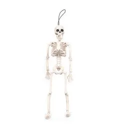 Cosplay&ware Halloween Prop Fexible Full Size Human Anatomical Anatomy Skeleton Model Plastic Lifelike Horror Christmas Decoration -Cosplayware Store Halloween Prop Fexible full size human Anatomical Anatomy Skeleton Model Plastic Lifelike Horror Halloween Christmas Decoration 2.jpg 640x640q80 2.jpg 2