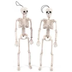 Cosplay&ware Halloween Prop Fexible Full Size Human Anatomical Anatomy Skeleton Model Plastic Lifelike Horror Christmas Decoration -Cosplayware Store Halloween Prop Fexible full size human Anatomical Anatomy Skeleton Model Plastic Lifelike Horror Halloween Christmas Decoration 3.jpg 640x640q80 3.jpg 3