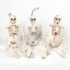Cosplay&ware Halloween Prop Fexible Full Size Human Anatomical Anatomy Skeleton Model Plastic Lifelike Horror Christmas Decoration -Cosplayware Store Halloween Prop Fexible full size human Anatomical Anatomy Skeleton Model Plastic Lifelike Horror Halloween Christmas Decoration.jpg 640x640q80.jpg