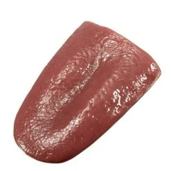 Cosplay&ware Halloween Realistic Tongue Gross Jokes Prank Tricks Horrible Magician Prop Funny 0aug1 1t3 9 Cosplay&ware Halloween Realistic Tongue Gross Jokes Prank Tricks Horrible Magician Prop Funny 0aug1 1t3 -Cosplayware Store Halloween Realistic Tongue Gross Jokes Prank Tricks Horrible Magician Prop Funny Wholesale Free Shipping 0aug1 1T3 2.jpg 640x640q80 2.jpg 2