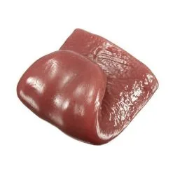 Cosplay&ware Halloween Realistic Tongue Gross Jokes Prank Tricks Horrible Magician Prop Funny 0aug1 1t3 10 Cosplay&ware Halloween Realistic Tongue Gross Jokes Prank Tricks Horrible Magician Prop Funny 0aug1 1t3 -Cosplayware Store Halloween Realistic Tongue Gross Jokes Prank Tricks Horrible Magician Prop Funny Wholesale Free Shipping 0aug1 1T3 3.jpg 640x640q80 3.jpg 3