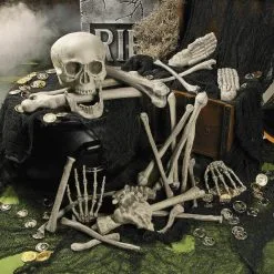OLOEY Halloween Skeleton Bones 28 Pieces Prop Skull Haunted Horror Party Decorations Tricky -Cosplayware Store Halloween Skeleton Bones 28 pieces Halloween Prop Skeleton Skull Haunted House Horror prop Party Decorations Tricky 4.jpg 640x640q80 4.jpg 4