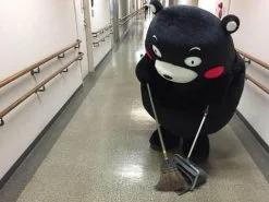 Cosplay&ware Mascot Kumamon Bear Costume Custom Fancy Dress Cosplay Kits Cartoon Character Carnival 7 Cosplay&ware Mascot Kumamon Bear Costume Custom Fancy Dress Cosplay Kits Cartoon Character Carnival -Cosplayware Store MASCOT Kumamon bear mascot costume custom fancy dress cosplay kits Cartoon Character carnival costume fancy Costume.jpg 640x640q80.jpg