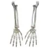 Cosplay&ware Plastic Skeleton Arms Witch Hands Haunted Escape Horror Halloween Decorations 1 Cosplay&ware Plastic Skeleton Arms Witch Hands Haunted Escape Horror Halloween Decorations -Cosplayware Store Plastic Skeleton Arms Witch Hands Haunted House Escape horror props Halloween Decorations.jpg 640x640q80.jpg