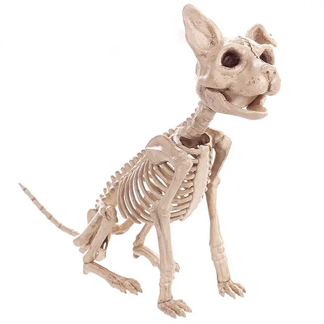 Cosplay&ware Animals Skeleton Halloween Decoration Mouse Dog Cat Skull Bone Ornaments Hallowmas Horror Haunted Party 5 Cosplay&ware Animals Skeleton Halloween Decoration Mouse Dog Cat Skull Bone Ornaments Hallowmas Horror Haunted Party - Image 3