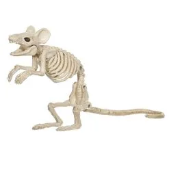 Cosplay&ware Animals Skeleton Halloween Decoration Mouse Dog Cat Skull Bone Ornaments Hallowmas Horror Haunted Party 11 Cosplay&ware Animals Skeleton Halloween Decoration Mouse Dog Cat Skull Bone Ornaments Hallowmas Horror Haunted Party -Cosplayware Store Props Animals Skeleton Halloween Decoration Mouse Dog Cat Skull Bone Ornaments Hallowmas Horror Haunted House Party 3.jpg 640x640q80 3.jpg 3