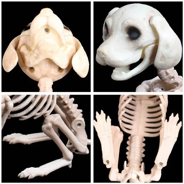 Cosplay&ware Animals Skeleton Halloween Decoration Mouse Dog Cat Skull Bone Ornaments Hallowmas Horror Haunted Party 7 Cosplay&ware Animals Skeleton Halloween Decoration Mouse Dog Cat Skull Bone Ornaments Hallowmas Horror Haunted Party - Image 5