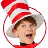 The Cat In The Hat Child Hat -Cosplayware Store SP96946 full 1