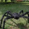 Cosplay&ware Super Big Plush Halloween Horrible Black Furry Fake Spider Size 60cm90cm150cmcreep Trick Treat Decoration -Cosplayware Store Super big plush Halloween Horrible Big Black Furry Fake Spider Size 60cm 90cm 150cm Creep Trick.jpg 640x640q80.jpg