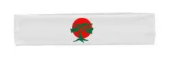 The Dragons Den Olympian Mixed Martial Arts Japanese Chinese Brazilian Combat Fighting Headbands -Cosplayware Store apingw3jt 55448.1627394873