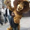 Cosplay&ware Custom Made Madagascar Top Alex Lion Mascot Costume Plush Cartoon Character Suit Adult Size Ems -Cosplayware Store custom made Madagascar Top Selling Alex Lion Mascot Costume Plush Cartoon Character Suit Adult Size Free.jpg 640x640q80.jpg
