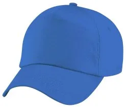 The Dragons Den Work Wear Football Baseball Cap Promotional Team Building Plain Hat -Cosplayware Store e73cf14c 9aa1 432a 85a0 2a279ad42085 80990.1569429288
